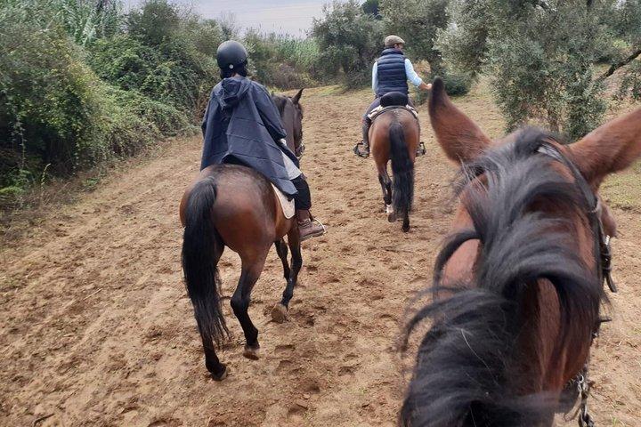 Paardrijervaring in Aljarafe, Doñana-park vanuit Sevilla