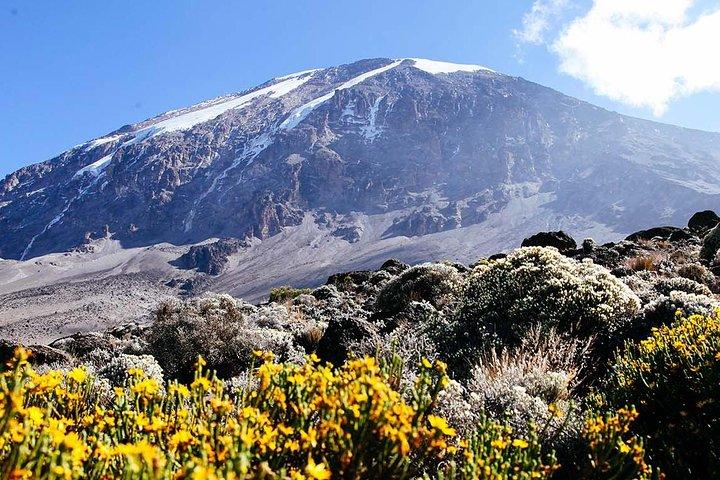 5 dages Marangu-rute - Mount Kilimanjaro Trek