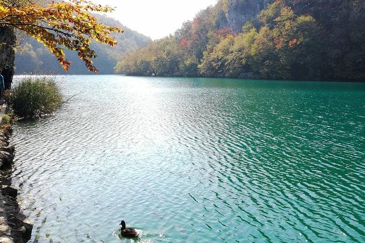 Excursión guiada privada a Plitvice Lakes desde Pula con traslado a Zagreb