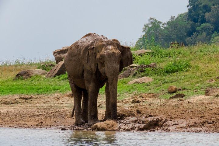 Trail Around Ceylon (13 dagar)