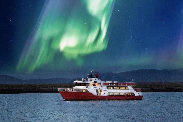 Noorderlichtcruise vanuit het centrum van Reykjavik