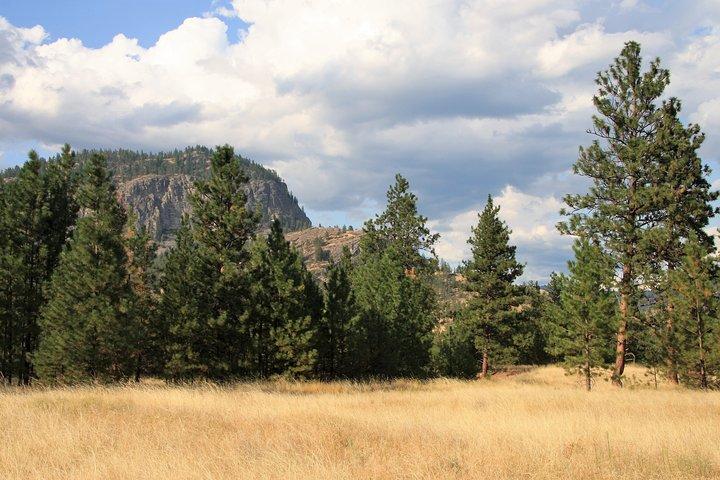 Okanagan Valley Discovery Tour