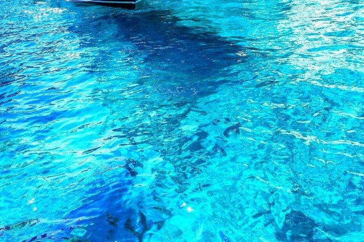 Capri: Boat Tour, Priority Tickets & Blue Grotto (Optional)
