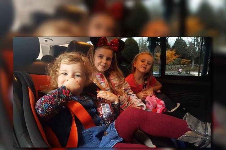 Euro Disney - PARIS (One Way) Private Shuttle Transfer