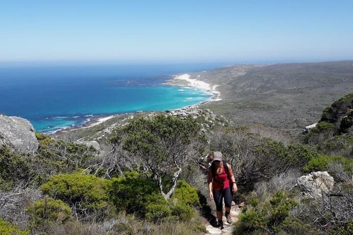 Hiking Cape of Good Hope & Cape Point Private Full Day Tour