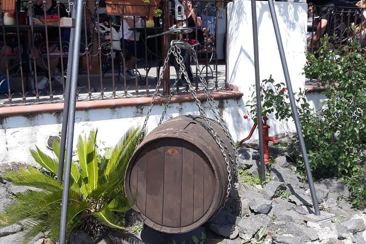 Tour from Naples to Pompeii and Winery