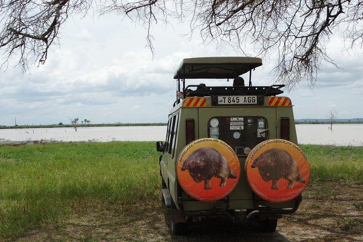 4-daagse safari naar Nyerere NP (Selous GR) - Kamperen in het hart van het park