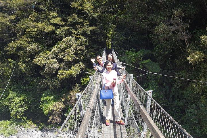 Martinborough Wine and Wild Coast Tour from Wellington
