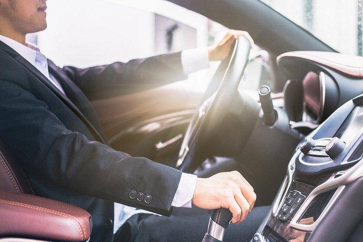 Privé transfer: Parijs Charles de Gaulle luchthaven (CDG) naar Parijs