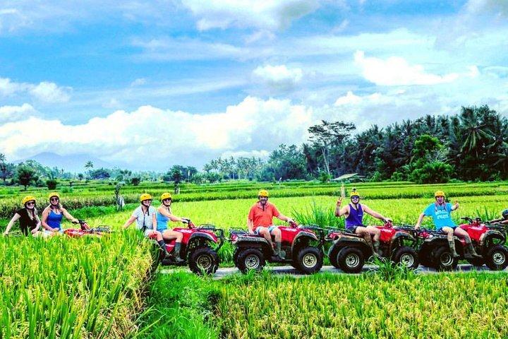 Bali 350cc Quad Bike Adventure - Monkey Forest- and Waterfall