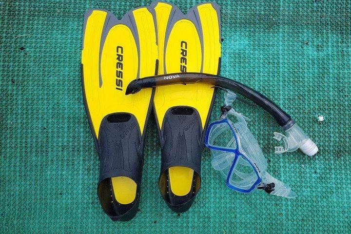 Cham Islands Snorkeling Tour af SpeedBoat fra Da Nang