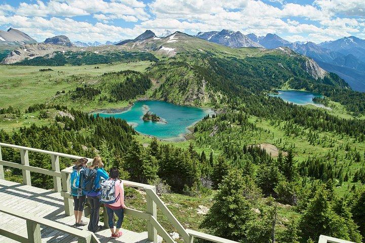 Banff Sunshine Village Gondola og Sightseeing