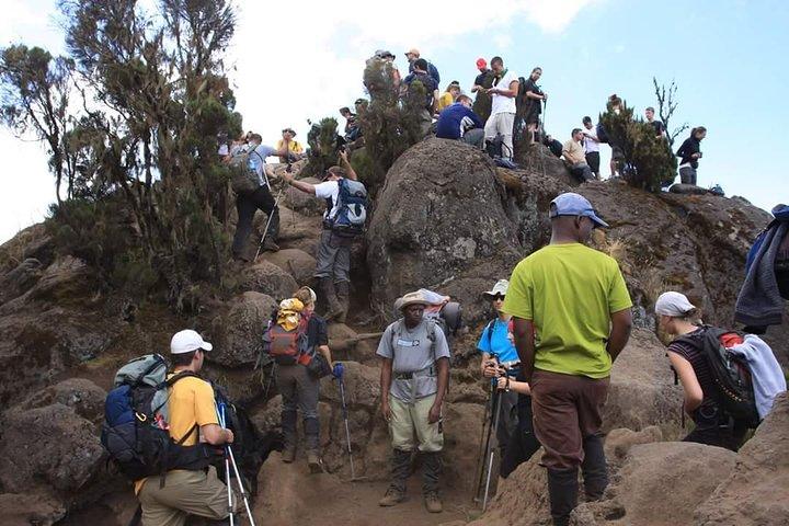 Machame Route 6 dagar 5 nätter / Kilimanjaro Climb
