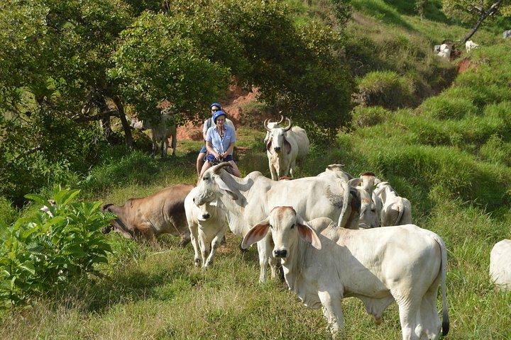 Rancho Típico Don Juan, Reittour