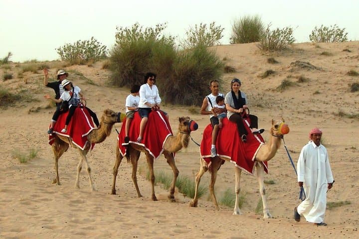 Golden Dunes & Sunset Safari with BBQ, Camel Ride & Sandboarding