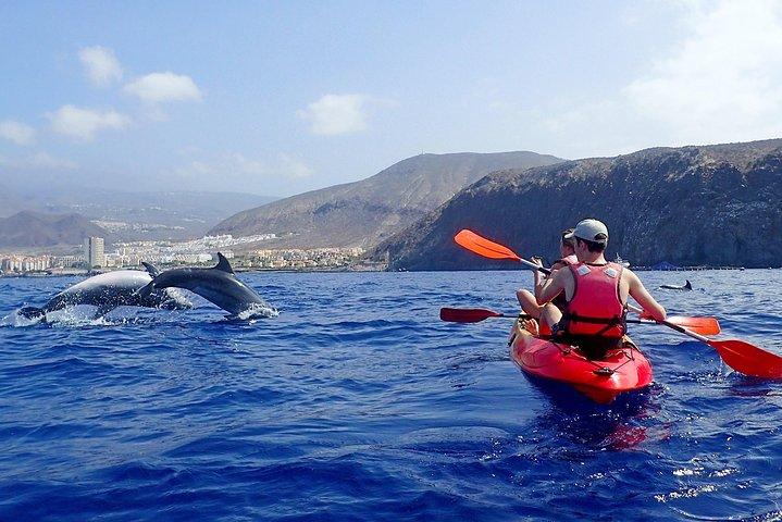 Tenerife: Turtle and Dolphin Kayak Tour com snorkel e Wetsuit