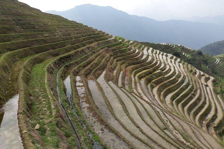 Yangshuo Xianggong Hill og Longji Rice Terraces Privat dagstur