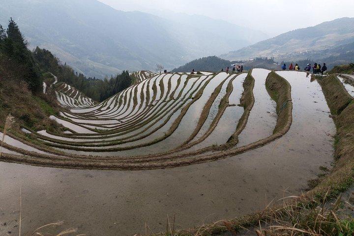 Visite privée de 2 jours: terrasses de riz de Longji et parc de géographie de Ziyuan Bajiaozhai