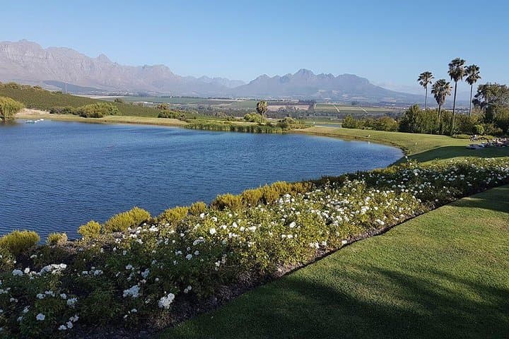 Private Wine Tour with Wine Expert to Stellenbosch-Franschhoek Wine Regions