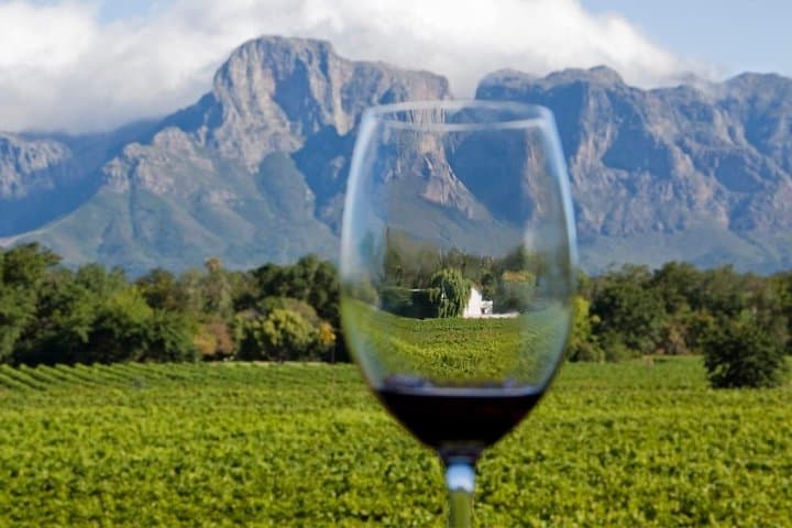 Cape town private, Wine Tasting Tour