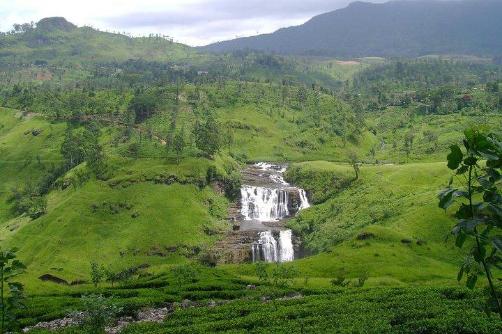 Excursion d'une journée à Nuwara Eliya avec Kingfisher Tours
