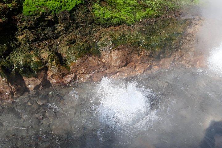 Tour privato della costa occidentale e delle cascate