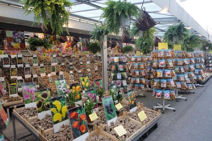 This is Amsterdam: Highlights and Introduction Tour (MUST DO)