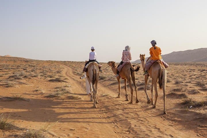 Dubai Sunset Camel Trekking with Shows & BBQ Dinner