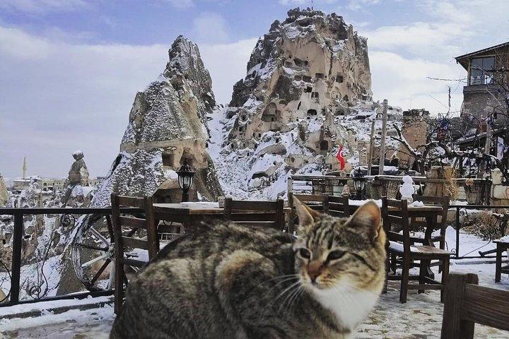 イスタンブール発カッパドキアプライベート日帰り旅行(フライト&ランチ付き)