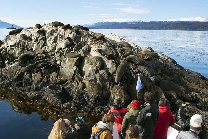 Tour nel canale di Beagle in barca a vela da Ushuaia