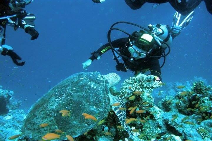 Forfait de luxe de 12 jours au Caire, Louxor, Assouan et la mer Rouge