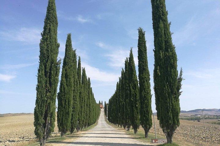 Montepulciano wijn en Pienza smaken Privé dagtour vanuit Rome