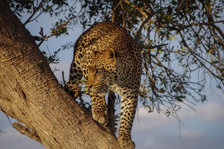 2 Days 1 Night Lake Nakuru National Park Tour