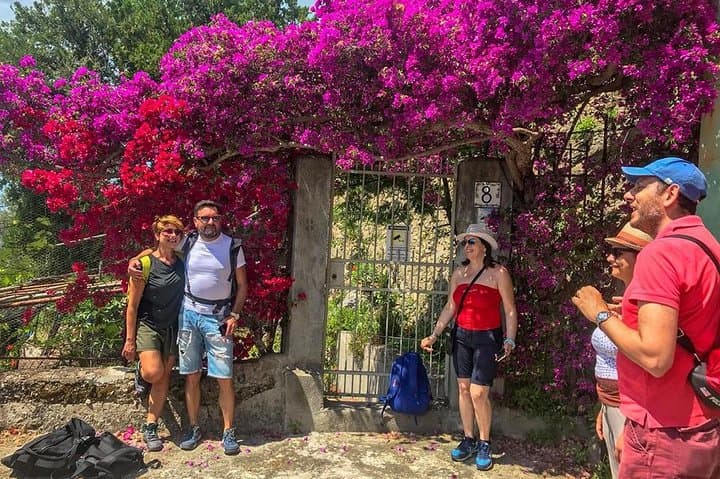 Private Tour: The Path of the Lemons