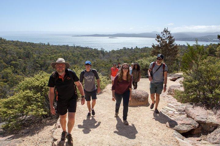 BIG 3 Tasmanië - Launceston naar Hobart - 3-daags actief avontuur