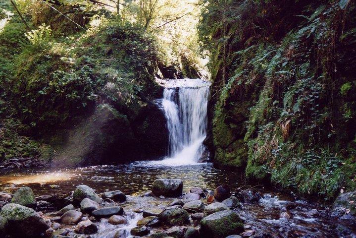 Das Beste in Baden-Baden Umgebung und Schwarzwald. Start ab Baden-Baden