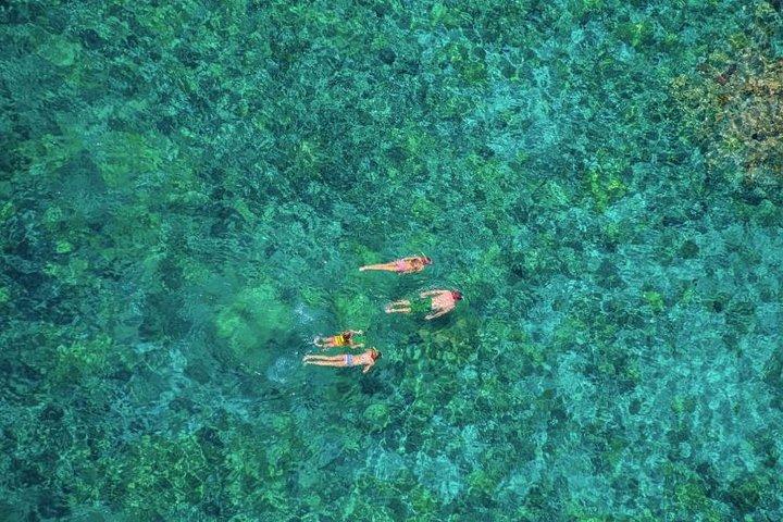 ケアラケクア湾の午後のシュノーケル:コナ海岸で家族で楽しむ