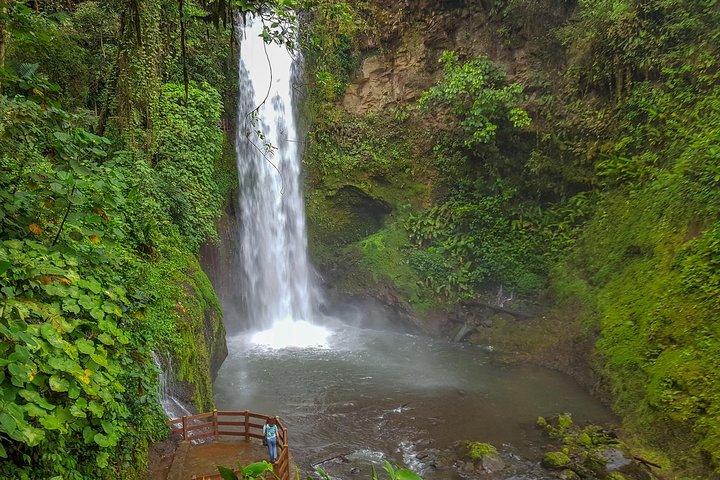 Super Combo Tour: Wasserfallgärten + Kaffeetour + Vulkan Poás