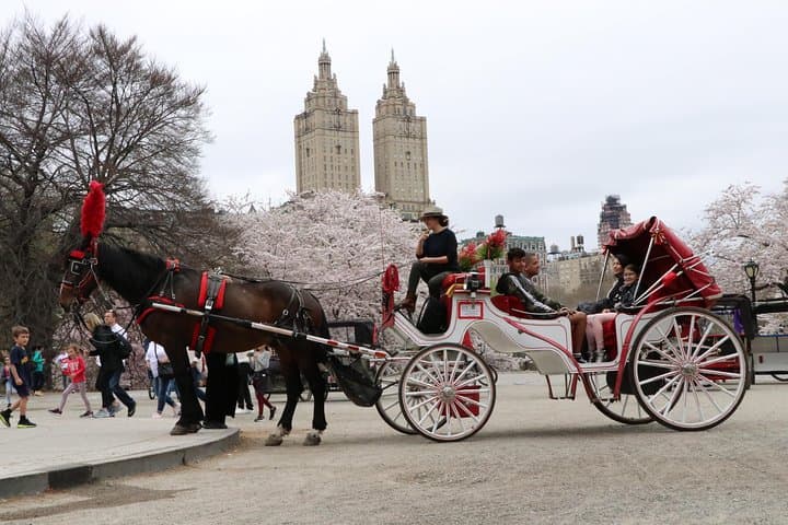 VIP Horse Carriage Ride through Central Park (Up to 4 Adults)