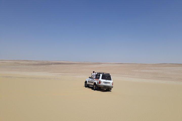Safari dans le désert de Fayoum Oasis : cascades et planche à sable au départ du Caire