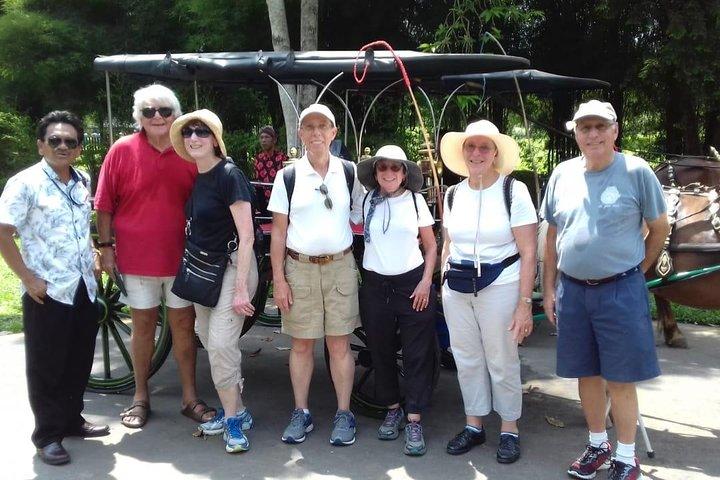 Prambanan privétour vanuit de cruisehaven van Semarang