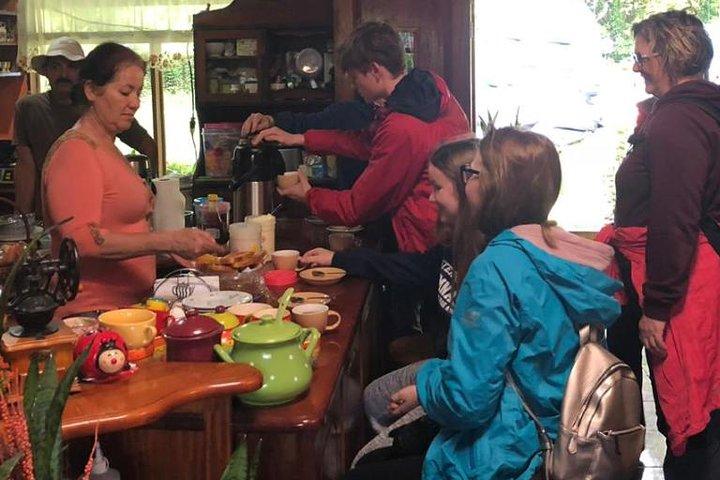 Monteverde Cloud Forest Ekologiskt Kaffe Farm Kulturupplevelse