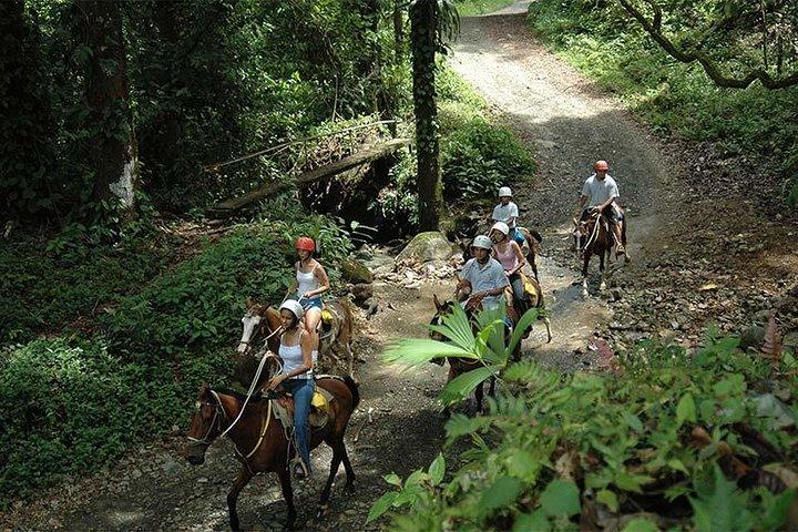Tirolesa e Cavalgada com visita a Cachoeira em Jacó