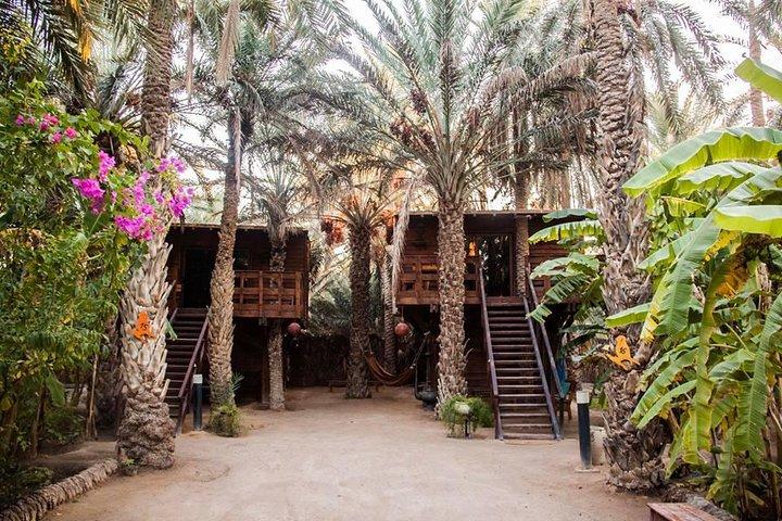 Sahara Prestige Tour de Hammamet ou Sousse