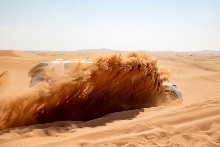 Morning Desert Safari
