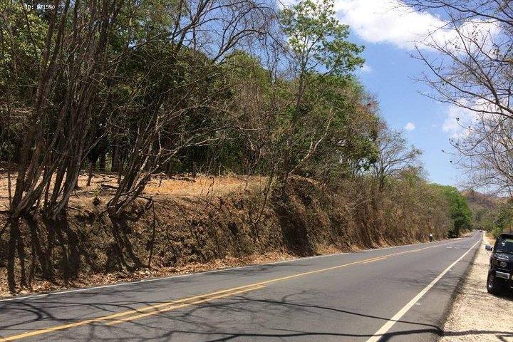 Tour a Río Celeste desde San José con Almuerzo y Baño en el Río