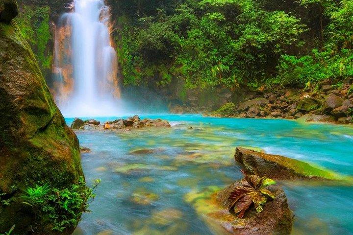 Tour a Río Celeste desde San José con Almuerzo y Baño en el Río