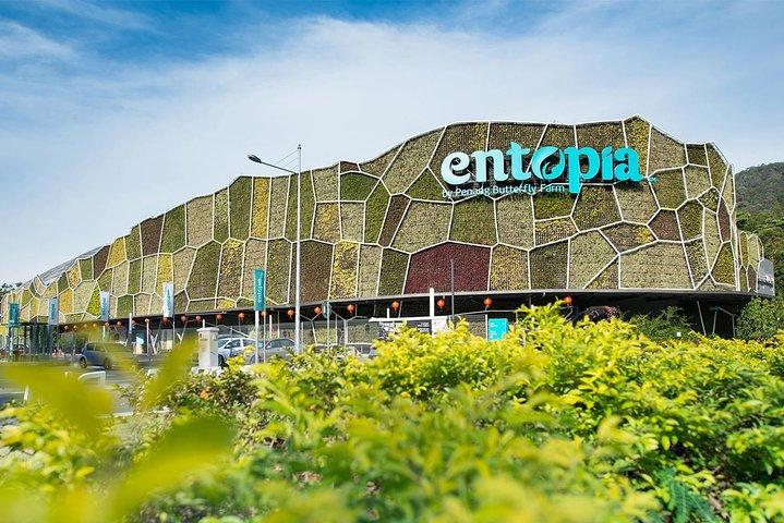 Malaysia: Oplev naturens vidundere med Entopia Entré