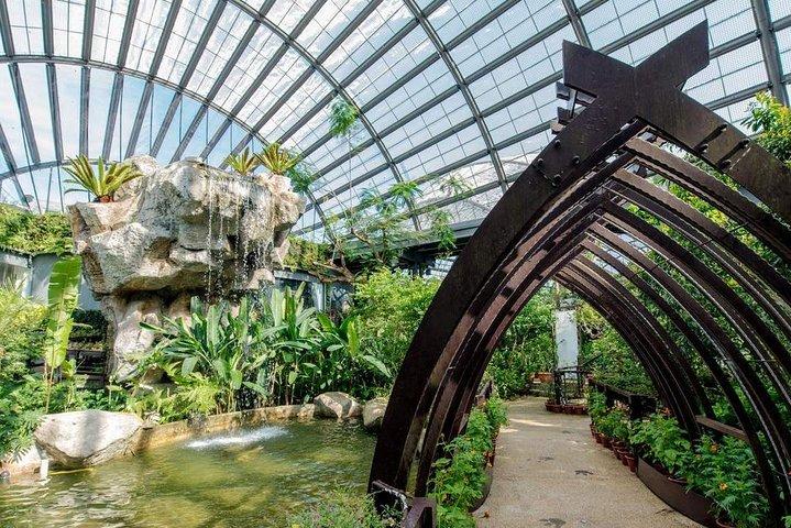 Malaysia: Oplev naturens vidundere med Entopia Entré
