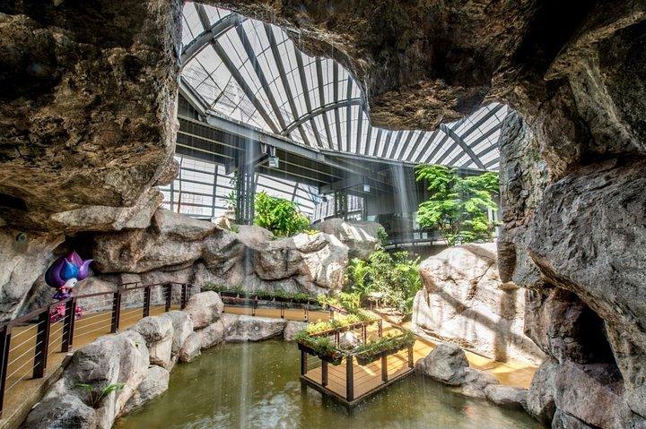 Malaysia: Oplev naturens vidundere med Entopia Entré